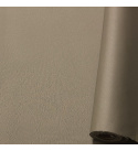 Tkanina ogrodowa odporna na UV-WR kolor Beżowy