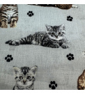 Tissu coton au métre imprimé Chat et sindice couleur gris clair