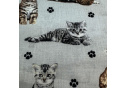 Tissu coton au métre imprimé Chat et sindice couleur gris clair