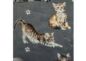 Tissu coton au métre imprimé Chat et sindice couleur gris