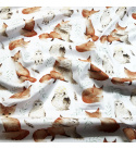 Cotton fabrics, by the meter. Squirrel and Owl on the White