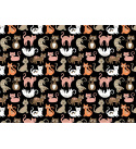 Bavlněné látky vzor Kočky pomeranč na černém