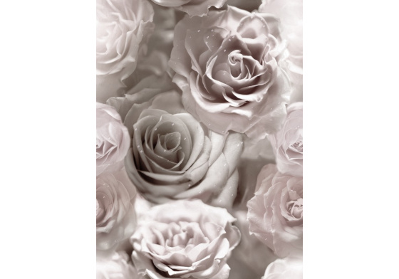 Velurové potahové látky s potiskem vzor 390097-108