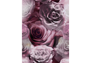 Velurové potahové látky s potiskem, Růže Růžové a Bílé