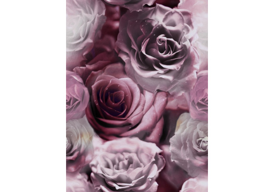 Velurové potahové látky s potiskem vzor 390097-102