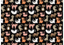 Bavlněné látky vzor Kočky pomeranč na černém