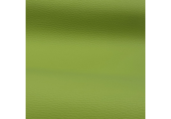 Eco-leather color Green Apple standard