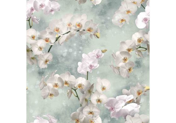 Velurové potahové látky s potiskem, Bílé orchideje