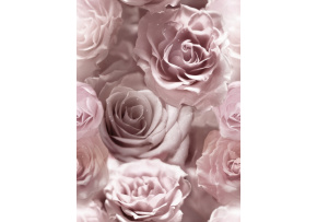 Velurové potahové látky s potiskem, Růže Bledě Růžové
