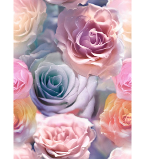 Velurové potahové látky s potiskem, Růže Multibarevné