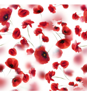 Velurové potahové látky s potiskem. Máky Červené na Bílém