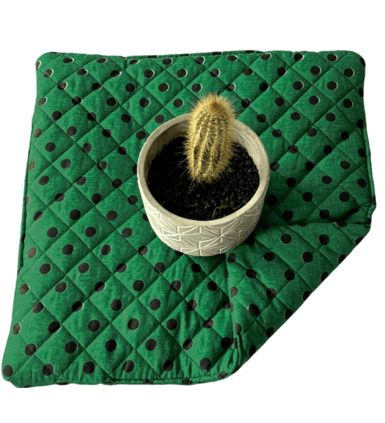 Sedák 40x40x2cm Puntík černý na Zeleném